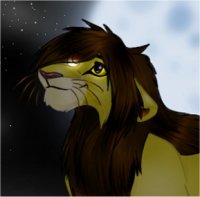 Lion King Stu's Avatar
